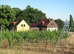Winzerhaus Jägerhofstraße&nbsp;33 mit Wirtschaftsgebäude