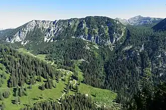 Raidling Südflanke mit Langpoltenalm