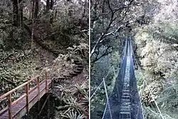 Teil des Tracks durch den Busch, hervorragend ausgebaut