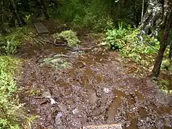 An Stellen ohne Bohlenwege versinkt der Pfad meist im Schlamm