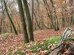 Der Burgstall der Vergessenen Burg