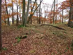 Der Burgstall der Randenburg von Nordosten mit dem Schanzenkopf im Hintergrund