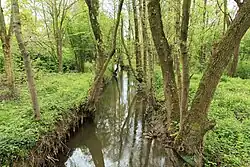 Schwarzbach im Süden des Erholungsparks Volkardey in Ratingen (2012)