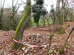 Blick über die Ausgrabung nach Westen Richtung Rauenthal