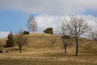 Gipfelbereich des Rechenberges