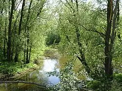 Bienener Altrhein bei Grieterbusch