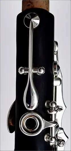 Normale Duodezim-Klappe