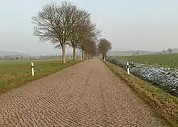 Emmerthaler Straße mit Kopfsteinpflaster und Alleebäumen unterhalb des Berges; rechts das aufsteigende Gelände