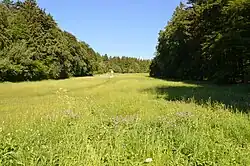 Reifenberger Wiesen, heimliche Wiese