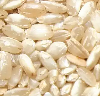 Chigalon Vollkornreis