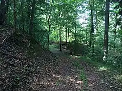 Reste der Vorburg (Juli&nbsp;2015)