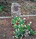 Grab von Theodor Wengler auf dem Rhöndorfer Waldfriedhof