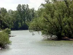 Rheinaue bei Rastatt-Plittersdorf