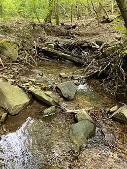 Steiniges Bachbett - Rheinbach