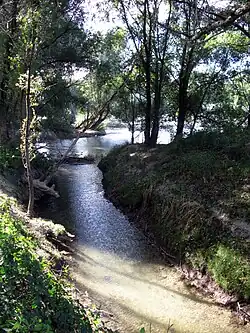 Klemmbach- mündung in den Altrhein (am „alten Hafen“)