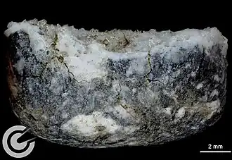 Flugorientierter Ribbeck Meteorit, (Seitenansicht von Probe F82)