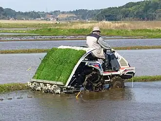 Maschinelles Reissetzen in Japan