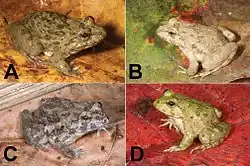 Beschreibung siehe rechts