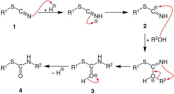 Riemschneider Reaktion Mechanismus V3