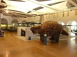 Ein Riesenfaultier, von 2000 bis 2019 im Erdgeschoss des Museums gezeigt[4]