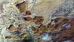 Felsblock (su2) mit ausgewitterten Konkretionen (Tongallen) und Spuren von Magnesiumcarbonat