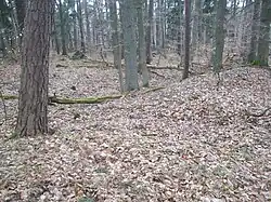 Teile der Wallanlage