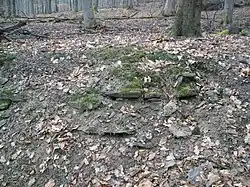 Mauerwerksreste an der Wallanlage