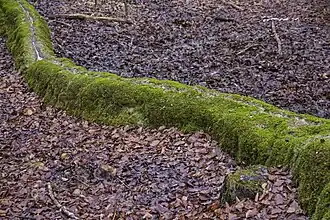 Der hohe Teil der Rinne