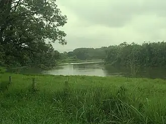 Der Río Cauca bei La Virginia