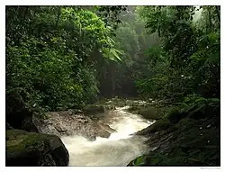 Schutzgebiet Alto-Ribiera-Tal