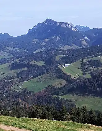 Risetestock von der First (Heiligkreuz) aus gesehen