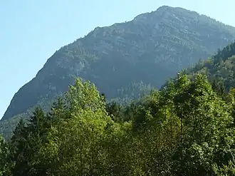 Ristfeuchthorn (von Weißbach an der Alpenstraße)