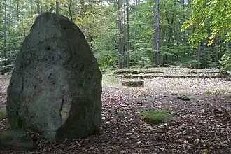 Ritterstein 262 auf dem Humberg