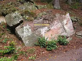 Ritterstein 101 Burgalbsprung