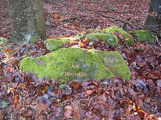 Ritterstein 129 an der Nordflanke