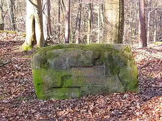 Ritterstein 142 an seiner Nordwestflanke