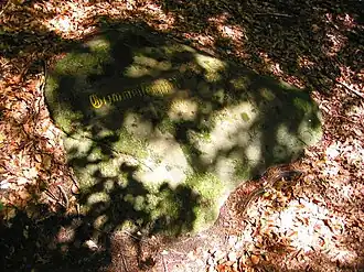 Ritterstein 184 Grimmeisenpfad am Südwesthang