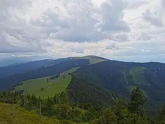 Blick über die Roßbachalm nach Südwesten auf den Terenbachkogel