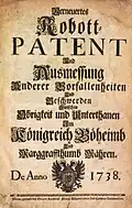 Das Robotpatent 1738 enthält grundlegende Aussagen über die Abwicklung von Robotleistungen (Rechtsbehelfe, Maßnahmen gegen Zusammenrottungen, Ausmaß von Handrobot, Zugrobot, Fußrobot etc.)