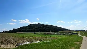 Rodenberg von Diessenhofen aus gesehen, im Vordergrund Schlattinger Gärten