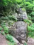 Der Fallende Bach rieselt über eine flaserig-gneisige Granitoidklippe im Burgwald in der Nähe der Ruine Rodenstein bei Fränkisch-Crumbach.