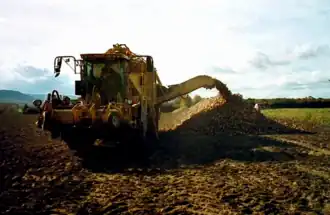 Rübenvollernter beim Abbunkern