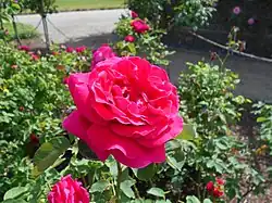 'Horace Vernet', 1866