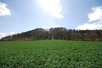 Ansicht von Nordwesten