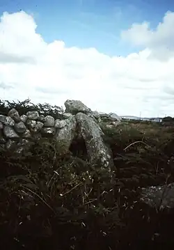 Portal Tomb von Roshin South