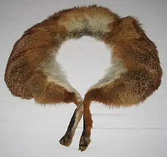 Rotfuchs-Wellenkragen Pfoten nur vorn