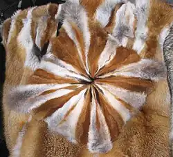 Kissen aus Pfoten, auf einer Rotfuchsdecke