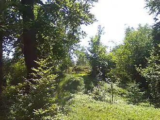 Auf dem Gipfel des Rotkopf