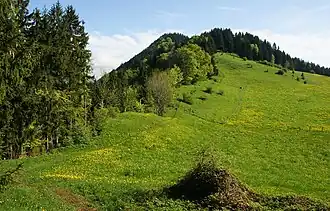 Am Rottachberg, Weg von der Gebhardshöhe zum Falkenstein