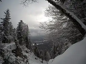 Ostgrat des Rotwandköpfls mit Blick zum Walchensee